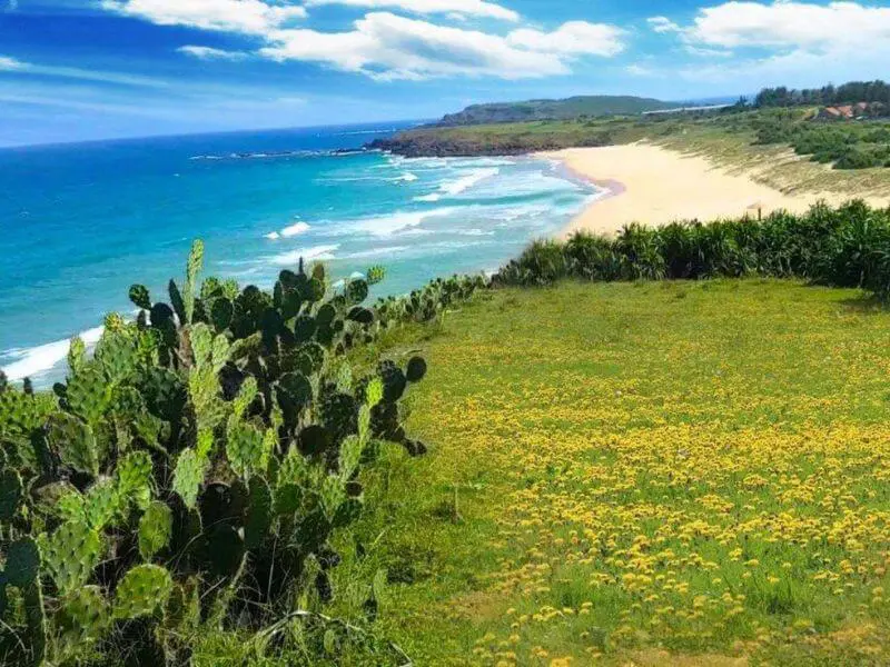 Tour khám phá khu du lịch núi Thần Tài Đà Nẵng