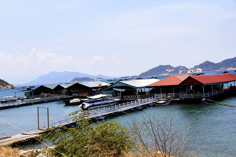 Tour Lặn Biển Hòn Mun Trọn Gói Giá Rẻ Siêu Ưu Đãi